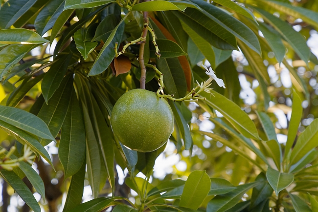 Promenade à Suan Luang avec Potter-039